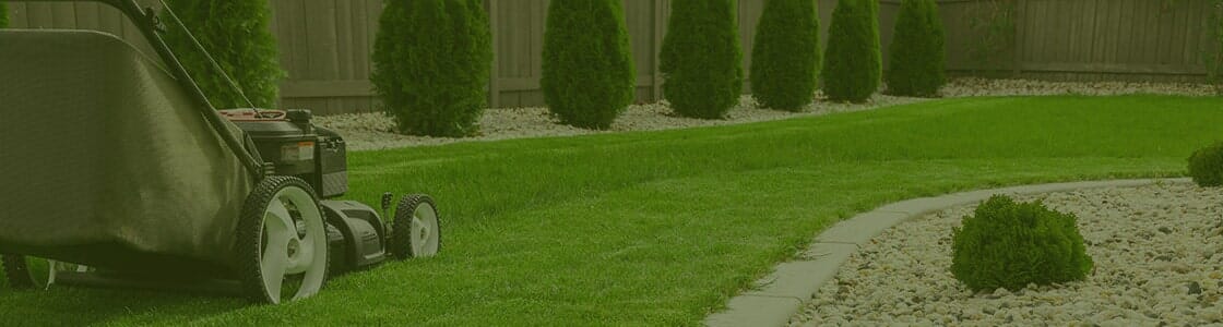 web-header3